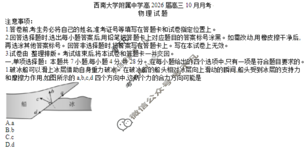 西南大学附属中学校2025-2026学年高三上10月定时检测物理试题