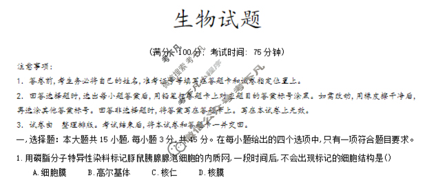 育才·鲁巴·万中高2026届高三(上)10月联合诊断性考试生物试题