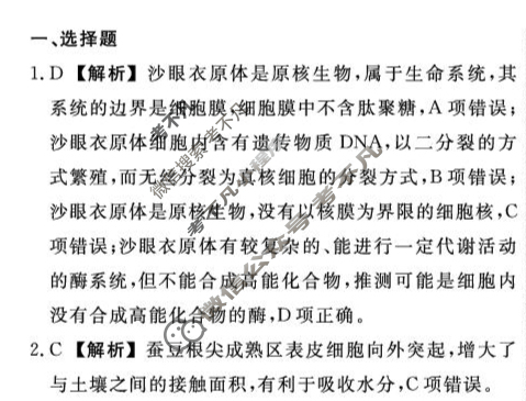 [辽宁省名校联盟]2025年高三10月份联合考试生物答案