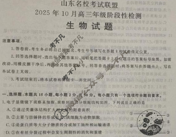 [山东名校考试联盟]2025年10月高三年级阶段性检测生物试题