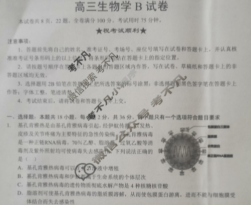 楚天协作体2025-2026学年上学期高三10月月考生物B试题