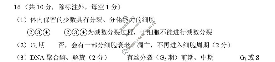 成都石室中学2025-2026学年度上期高2026届10月月考生物答案