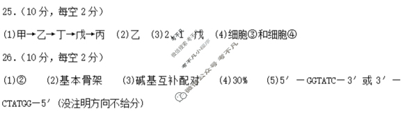 雅礼中学2025年下学期高二10月质量检测生物答案 雅礼中学2025年下学期高二10月质量检测生物答案