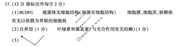 咸阳市实验中学2025-2026学年高一第一学期第一次质量检测生物答案
