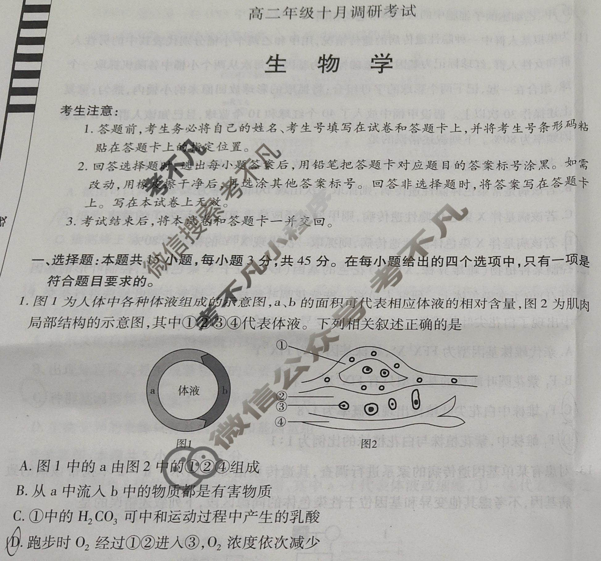 [天一大联考]安徽省2025-2026学年高二年级十月调研考试生物试题