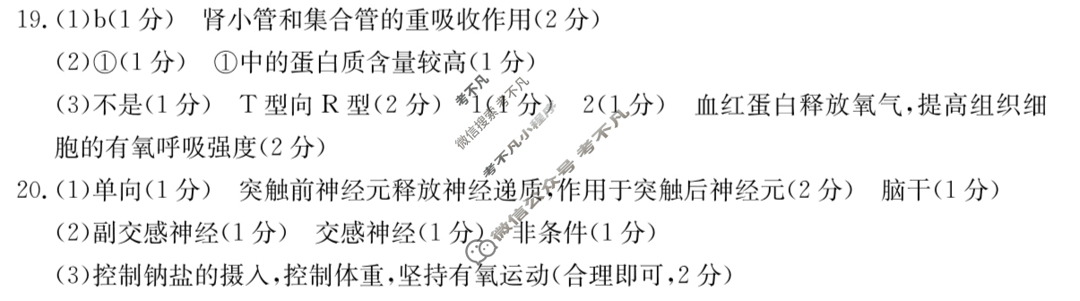河北省金太阳2025-2026学年高二年级10月份联考(10.14)生物B2答案