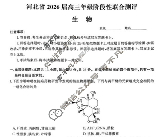 河北省2026届高三年级阶段性联合测评(10月)生物试题