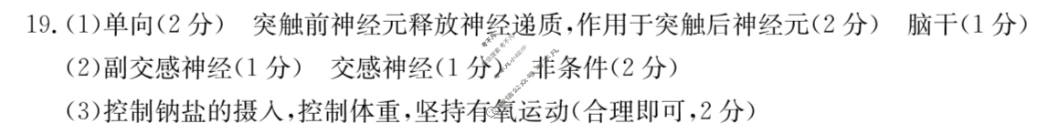 河北省金太阳2025-2026学年高二年级10月份联考(10.14)生物B1答案