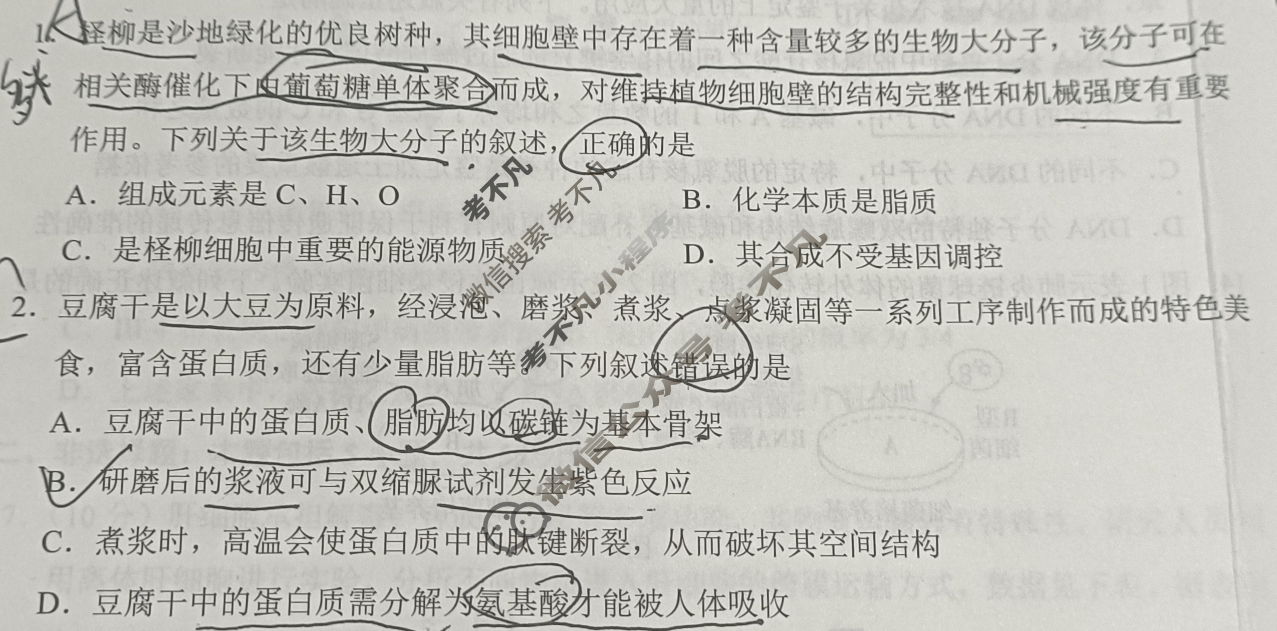 [学科网]2026届高三10月大联考生物(新高考卷)试题
