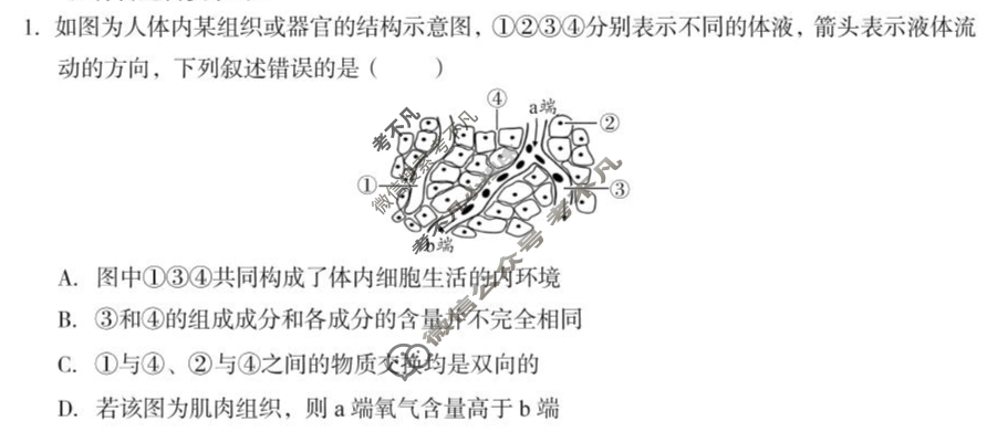 [1号卷]A10联盟2024级高二上学期10月学情诊断生物A试题