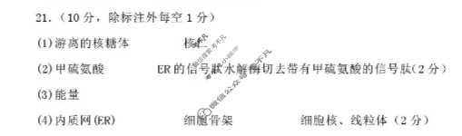 包头市2025-2026学年第一学期高三年级期中教学质量检测生物答案