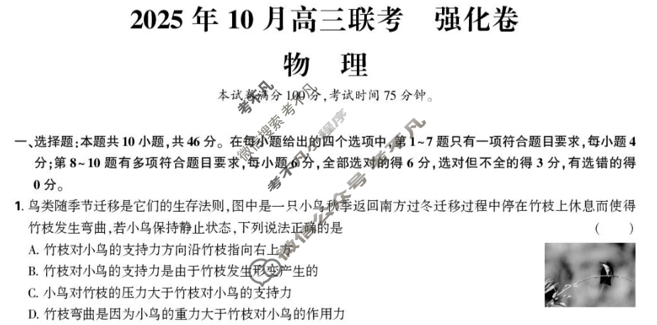 东北三省三校精准教学2025年10月高三联考(强化卷)物理试题 东北三省三校精准教学2025年10月高三联考(强化卷)物理试题