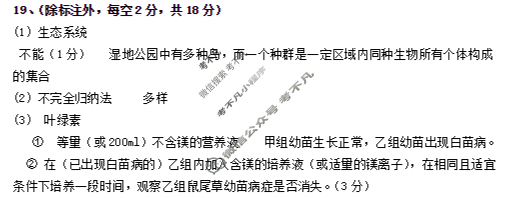 湖北省武汉市2025级高一上学期联考(10.20)生物答案
