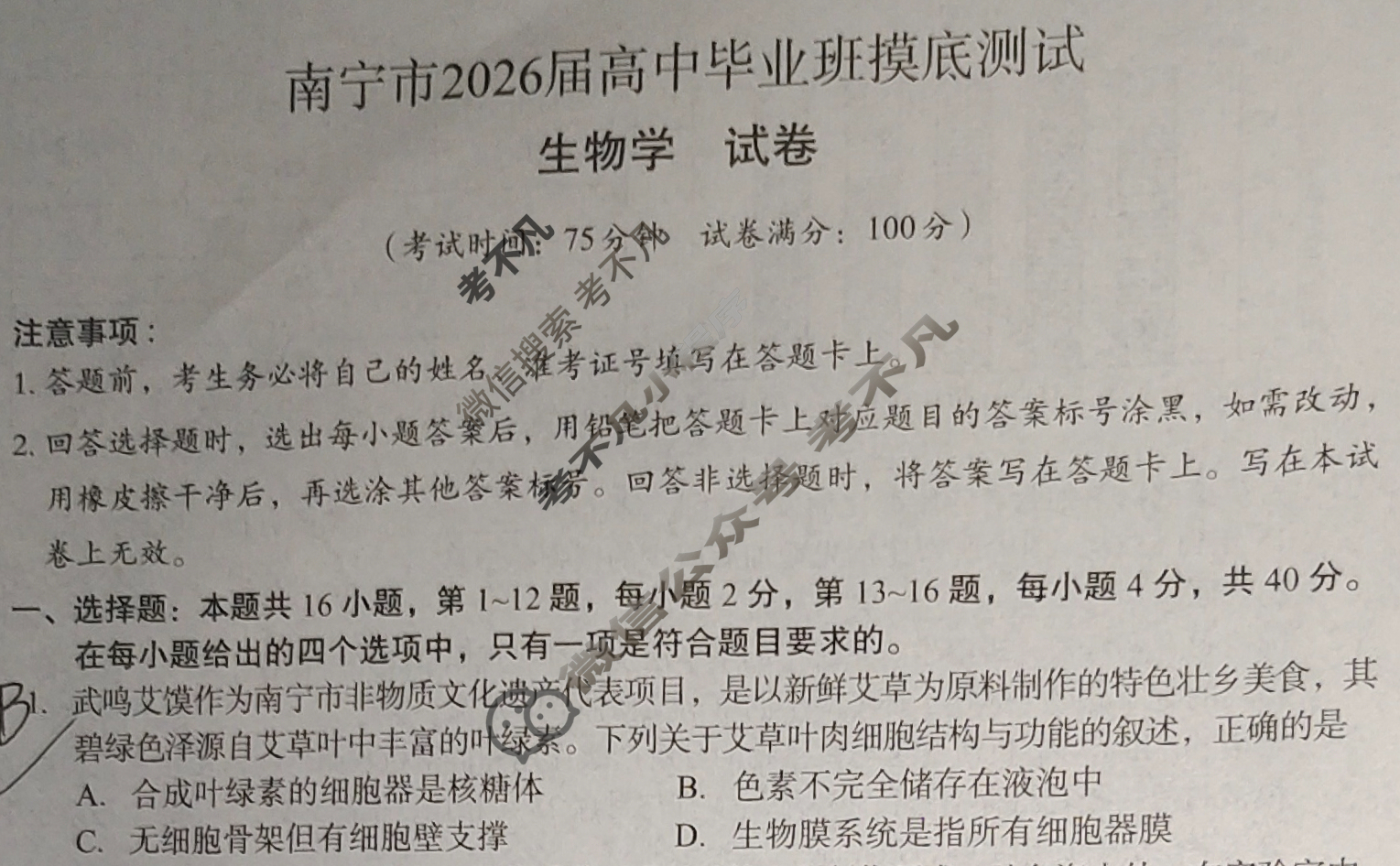 南宁市2026届高中毕业班摸底测试(10月)生物试题