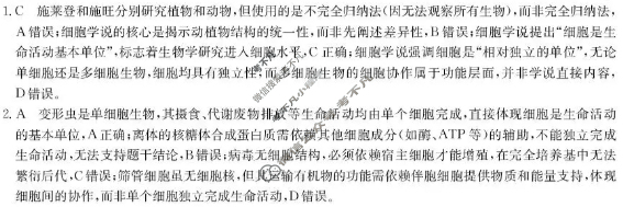 广东省2025-2026学年第一学期八校联盟高一质量检测(一)(6075A)生物答案 广东省2025-2026学年第一学期八校联盟高一质量检测(一)(6075A)生物答案