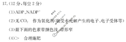 广西金太阳2026届高三考试10月联考(10.21)生物答案