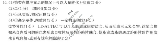 福建省金太阳2025-2026学年高三10月份联考(10.25)生物答案 福建省金太阳2025-2026学年高三10月份联考(10.25)生物答案