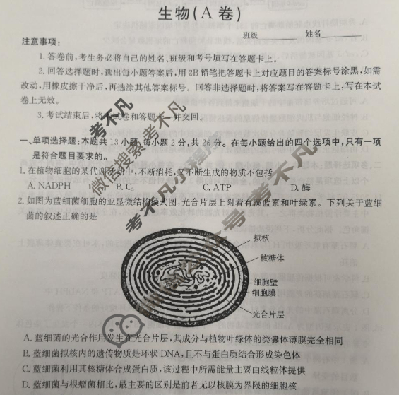 河北省2026届高三年级一轮复习阶段性质量检测(2025.10)生物A卷试题