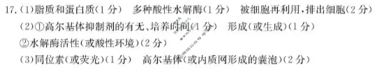 甘肃省金太阳2026届高三阶段性检测(10.29)生物答案