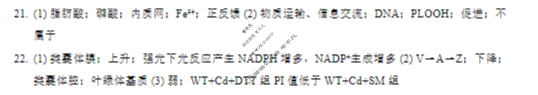 山东省实验中学2026届高三第二次诊断性考试(11月)生物答案