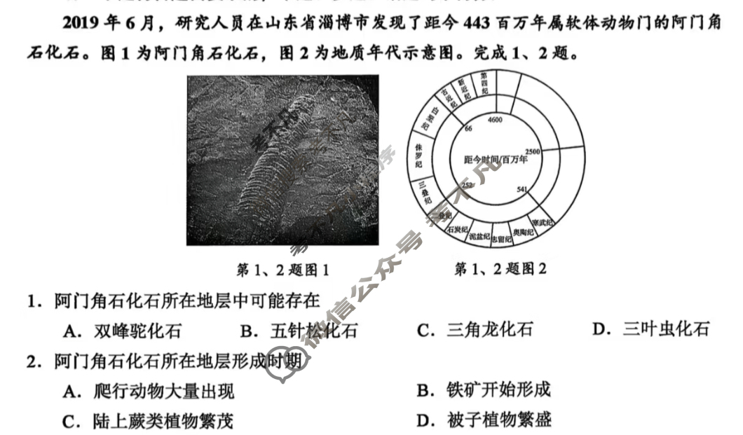 2025年11月绍兴市高考科目诊断性考试地理试题