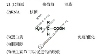 2025学年第一学期台州十校联盟高一期中联考生物答案