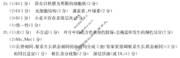 河北省金太阳高一年级2025-2026学年第一学期期中考试生物答案
