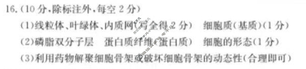 金太阳福宁古五校教学联合体2025-2026学年第一学期高三期中质量监测生物答案