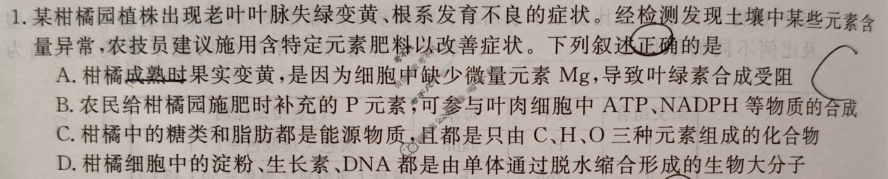 高中2026届名校大联盟·高三月考卷(二)2生物学AH试题