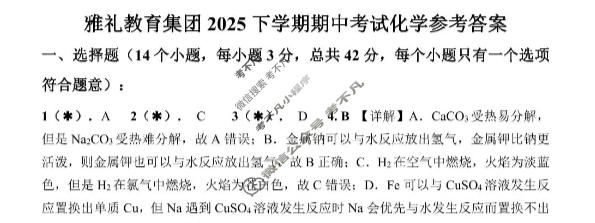 雅礼教育集团2025年下学期高一期中考化学答案