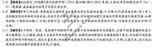 炎德英才大联考(长郡版)长郡中学2025年下学期高二期中考试生物答案