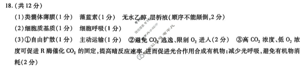 [天一大联考]焦作市普通高中2025-2026学年(上)高三年级期中考试生物答案