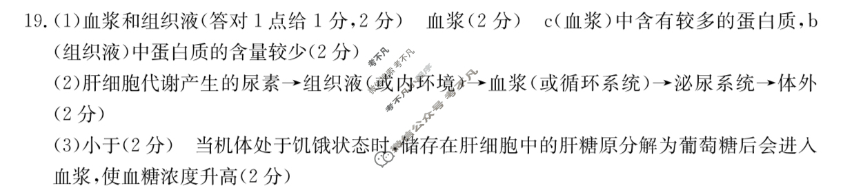 河北省金太阳2025-2026学年高二年级上学期期中考试(11.12)生物B2答案
