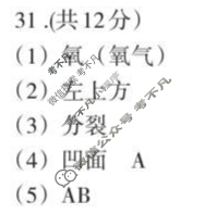南昌市2025-2026学年度第一学期期中测试卷七年级(初一)(11月)生物答案