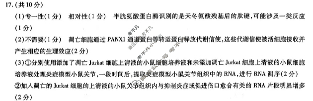 [天一大联考]2025-2026学年(上)高三年级天一小高考(二)2生物(B卷)答案