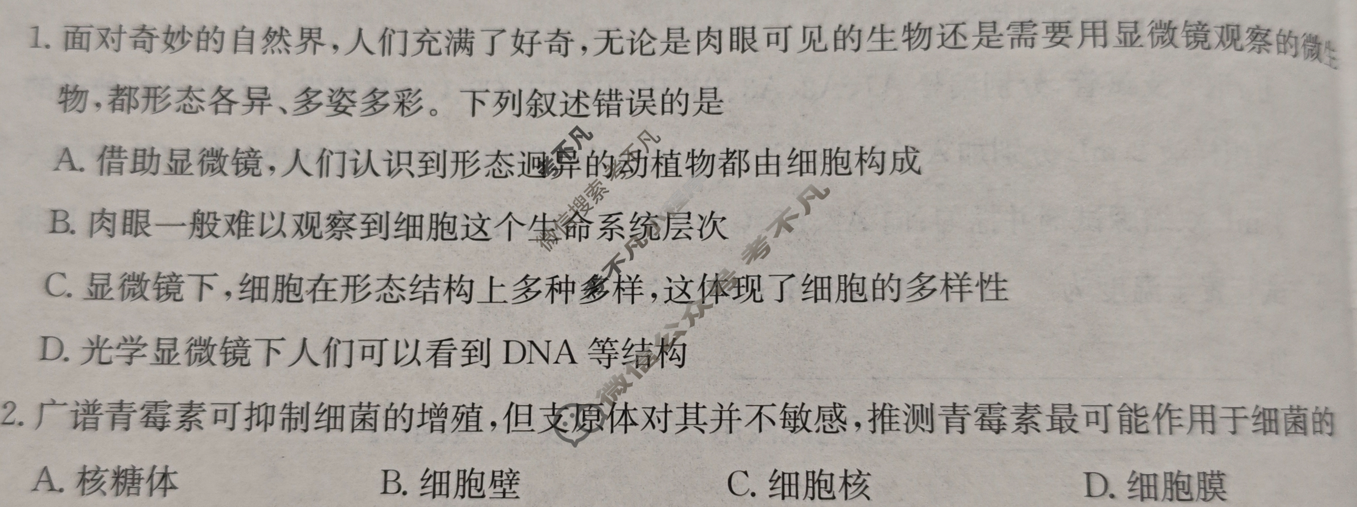 金太阳2025-2026学年重庆市高一考试11月联考(11.10)生物A1试题