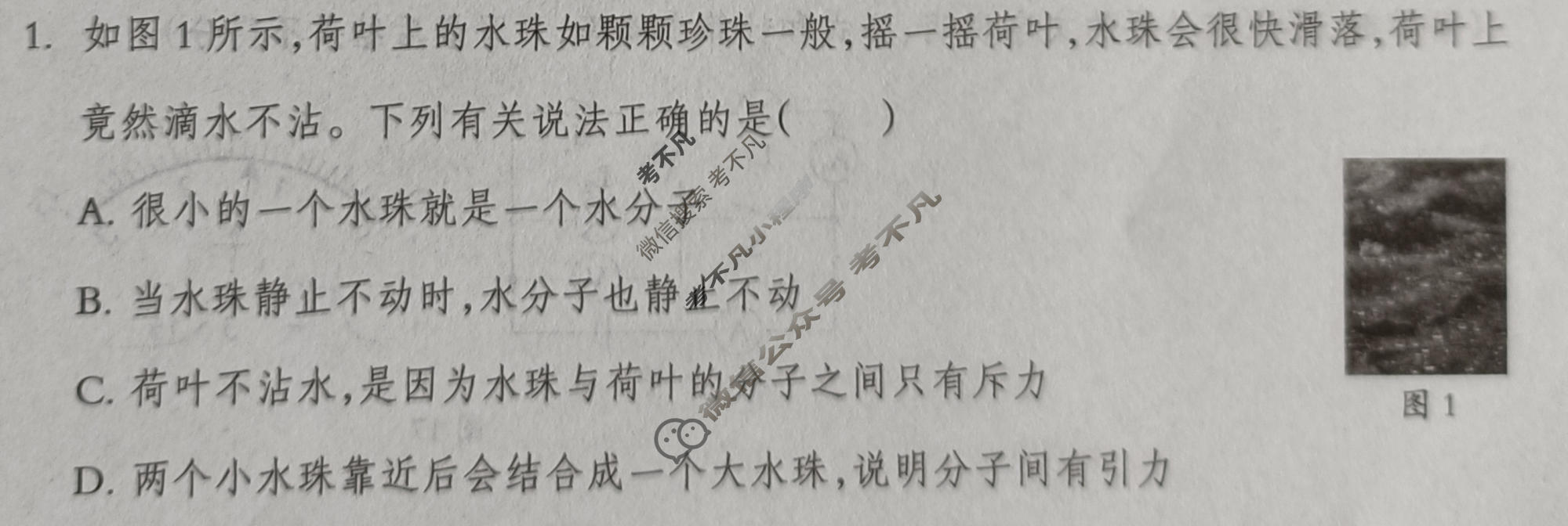 河北省2025-2026学年九年级第一学期第二次学业质量检测(10月)物理试题