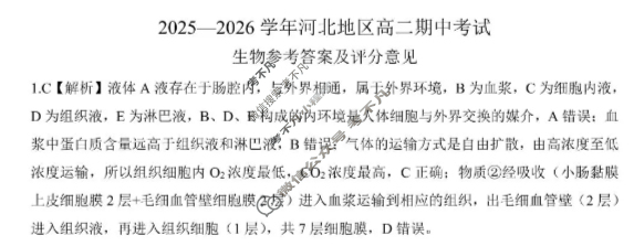 [百师联盟]2025-2026学年河北地区高二期中考试生物答案