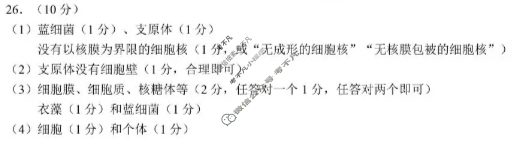 蓉城名校联盟2025-2026学年度上期高中2025级期中考试生物答案