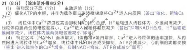 聊城市2025-2026学年高三第一学期期中教学质量检测(2025.11)生物答案
