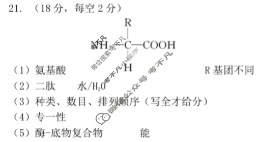 2025学年第一学期浙江"七彩阳光"新高考研究联盟期中联考高一年级(11月)生物答案