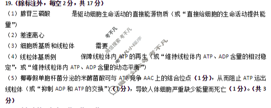 2025年秋季黄冈市部分高中高三年级期中考试生物答案