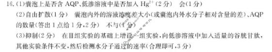 福建省金太阳龙岩市非一级达标校2025-2026学年第一学期高三半期考生物答案