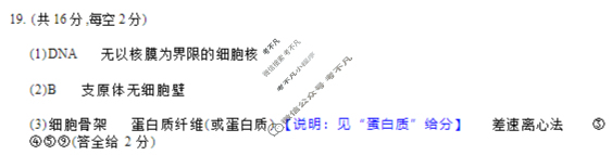湖北省部分重点中学2026届高三第一次联考(11月)生物答案