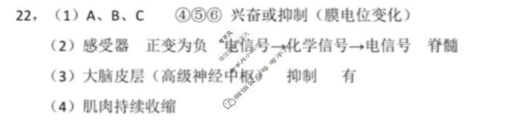 2025学年第一学期浙江"七彩阳光"新高考研究联盟期中联考高二年级(11月)生物答案