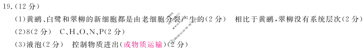 河北省2025-2026学年上学期高一年级期中考试(HB)生物答案