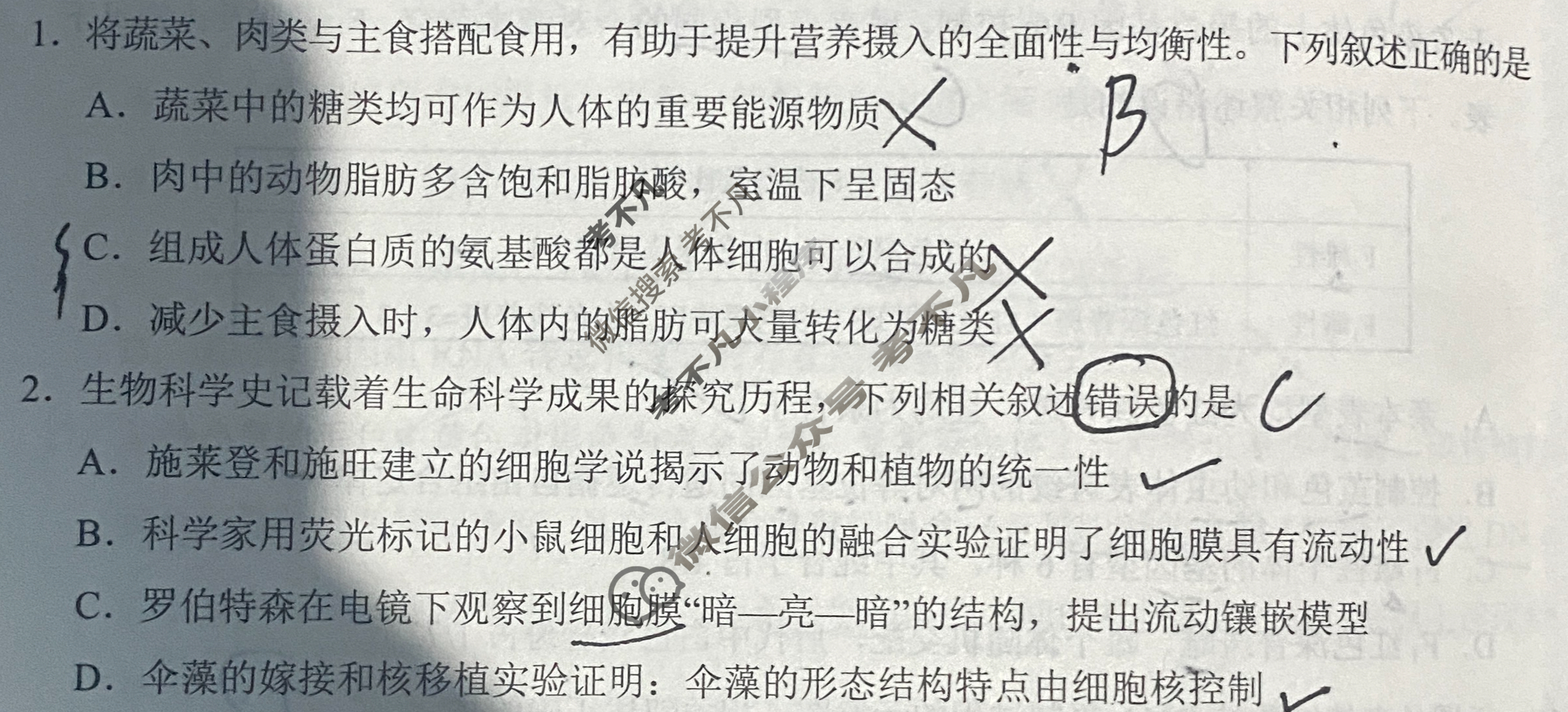 [学科网]2026届高三11月大联考生物(新课标卷)试题