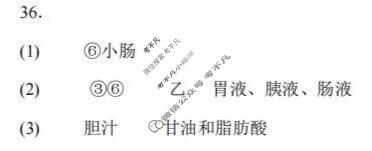 徐州市2025~2026学年度第一学期期中检测八年级(11月)生物答案