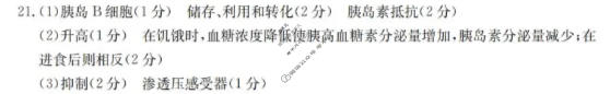 辽宁省金太阳2025-2026学年度上学期协作校高二第一次考试(11.14)生物答案