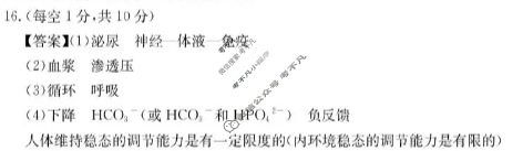 宁德市金太阳第三教研共同体2025-2026学年第一学期高二期中质量检测生物答案